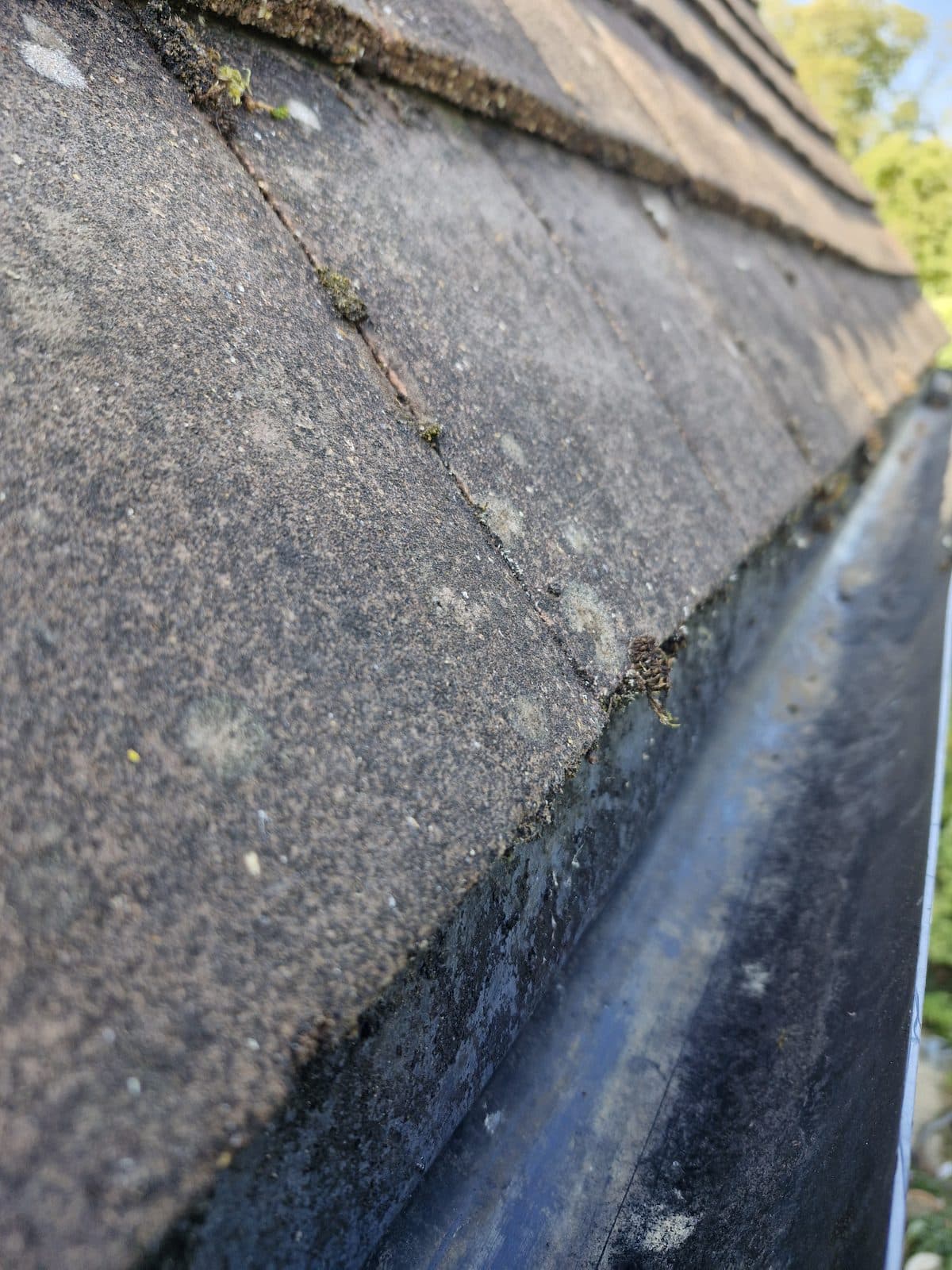 The same gutter cleared, with clean water lying in it.