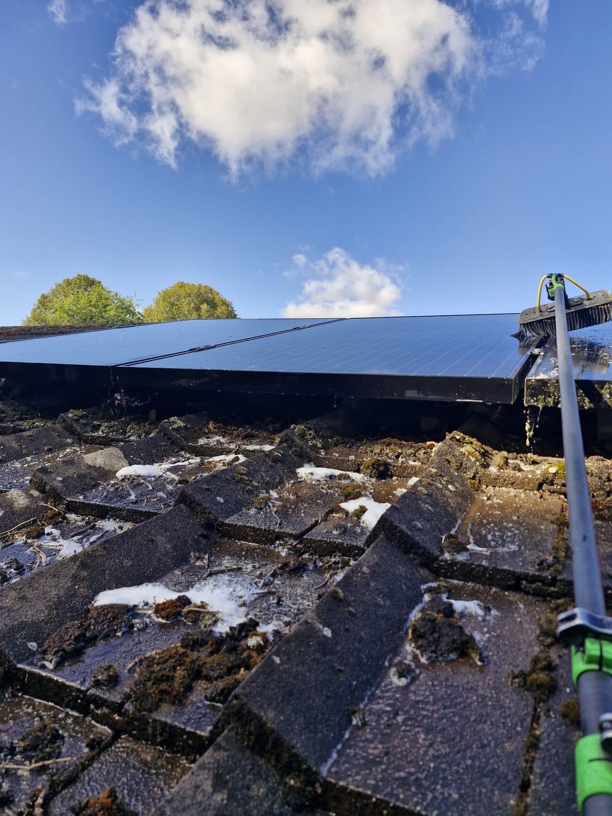 A cleaning pole reaching up to solar panels on a mossy tiled roof.
